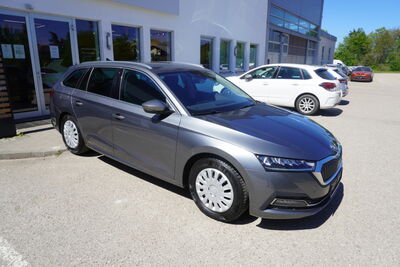 Skoda Octavia Gebrauchtwagen