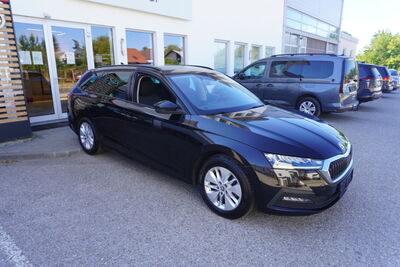 Skoda Octavia Gebrauchtwagen