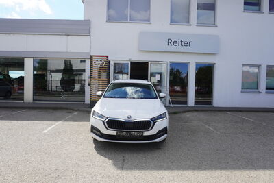 Skoda Octavia Gebrauchtwagen