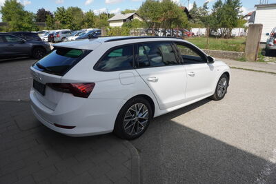 Skoda Octavia Gebrauchtwagen