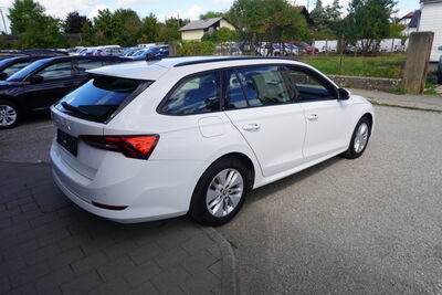 Skoda Octavia Gebrauchtwagen
