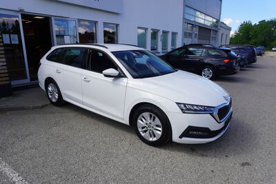 Skoda Octavia Gebrauchtwagen