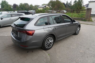 Skoda Octavia Gebrauchtwagen Skoda Octavia Gebrauchtwagen