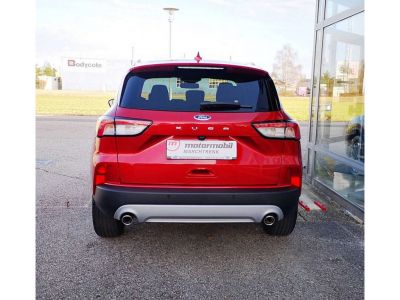 Ford Kuga Tageszulassung