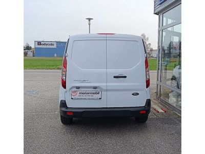 Ford Transit Tageszulassung