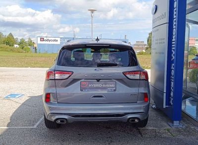 Ford Kuga Vorführwagen Ford Kuga Vorführwagen