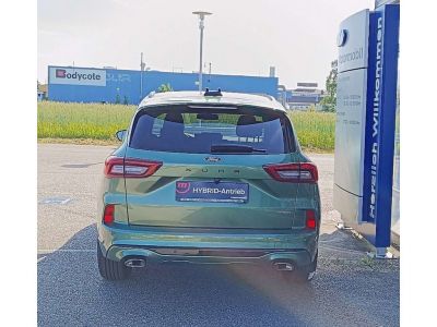 Ford Kuga Gebrauchtwagen