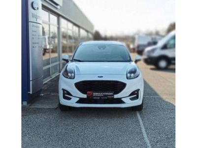 Ford Puma Gebrauchtwagen