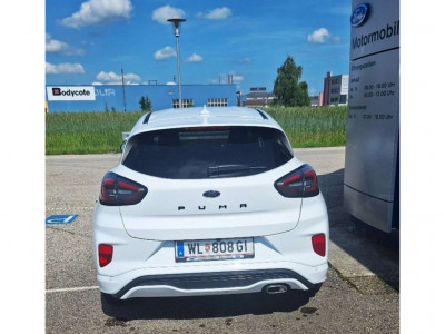 Ford Puma Gebrauchtwagen Ford Puma Gebrauchtwagen