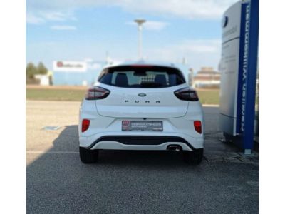 Ford Puma Gebrauchtwagen