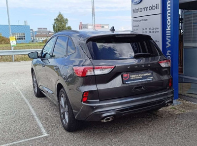 Ford Kuga Gebrauchtwagen