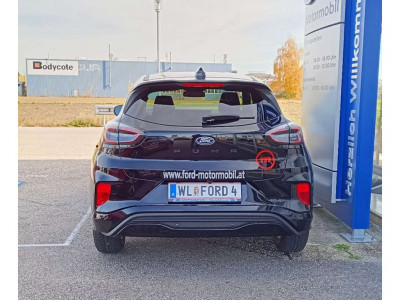 Ford Puma Gebrauchtwagen
