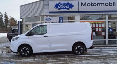 Ford Transit Custom Tageszulassung