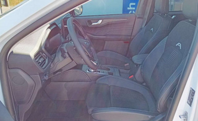 Ford Kuga Vorführwagen