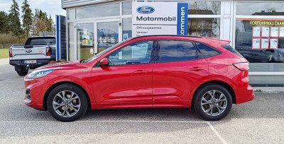 Ford Kuga Gebrauchtwagen