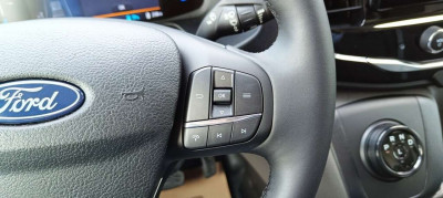 Ford Transit Tageszulassung