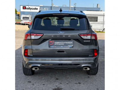 Ford Kuga Gebrauchtwagen Ford Kuga Gebrauchtwagen