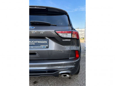 Ford Kuga Gebrauchtwagen Ford Kuga Gebrauchtwagen