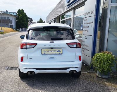 Ford Kuga Vorführwagen