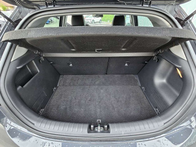 KIA Rio Gebrauchtwagen