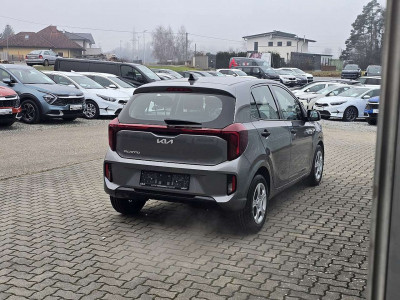 KIA Picanto Neuwagen