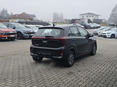 KIA Picanto Neuwagen