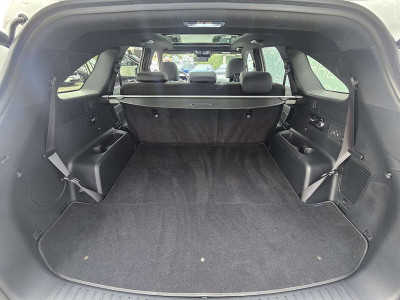 KIA Sorento Vorführwagen