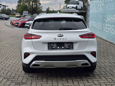 KIA XCeed Gebrauchtwagen KIA XCeed Gebrauchtwagen
