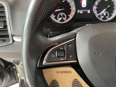 Skoda Karoq Gebrauchtwagen Skoda Karoq Gebrauchtwagen
