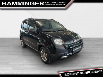 Fiat Panda Gebrauchtwagen