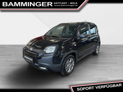 Fiat Panda Gebrauchtwagen