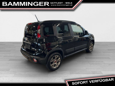 Fiat Panda Gebrauchtwagen