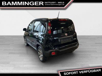 Fiat Panda Gebrauchtwagen