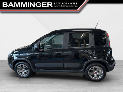 Fiat Panda Gebrauchtwagen