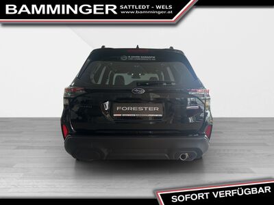 Subaru Forester Neuwagen