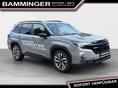 Subaru Forester Vorführwagen Subaru Forester Vorführwagen
