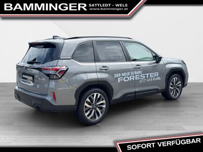 Subaru Forester Vorführwagen Subaru Forester Vorführwagen