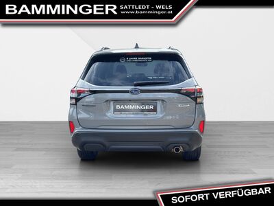 Subaru Forester Vorführwagen Subaru Forester Vorführwagen