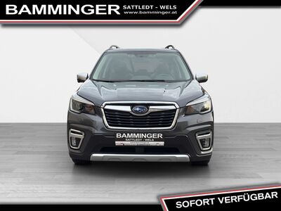 Subaru Forester Gebrauchtwagen