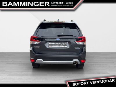 Subaru Forester Gebrauchtwagen