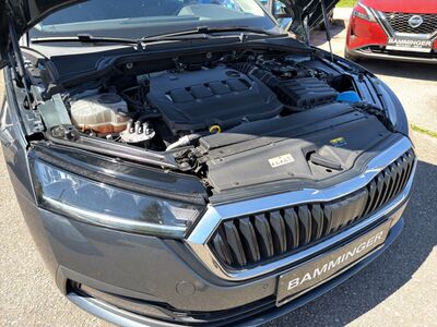 Skoda Octavia Gebrauchtwagen Skoda Octavia Gebrauchtwagen