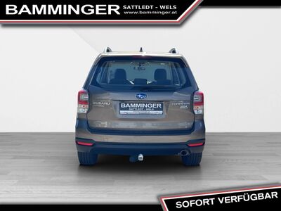 Subaru Forester Gebrauchtwagen