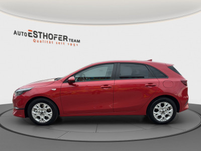 KIA Ceed Gebrauchtwagen