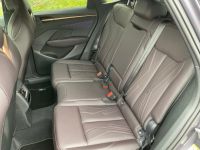 Cupra Terramar Gebrauchtwagen