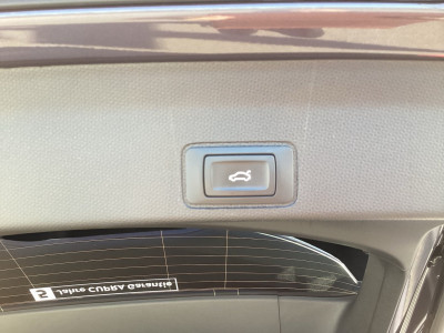 Cupra Terramar Gebrauchtwagen