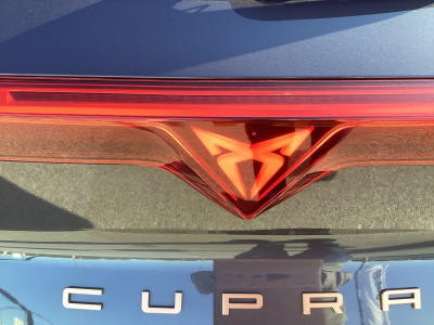 Cupra Terramar Gebrauchtwagen