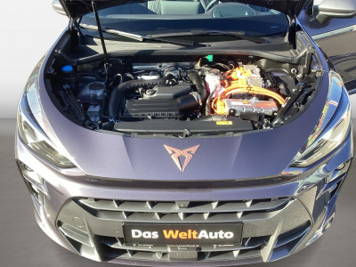 Cupra Terramar Gebrauchtwagen