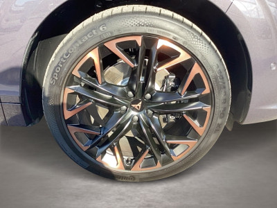 Cupra Terramar Gebrauchtwagen