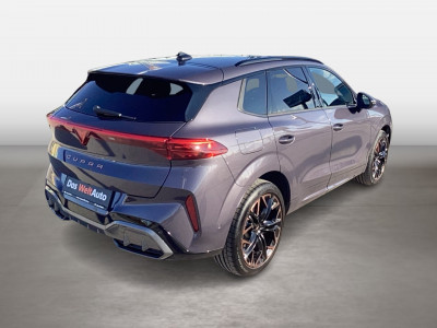 Cupra Terramar Gebrauchtwagen