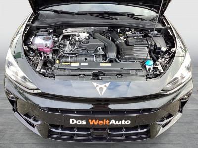 Cupra Leon Gebrauchtwagen Cupra Leon Gebrauchtwagen